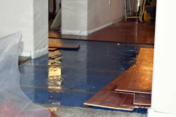 Professional Flood Cleanup technician working in Edison, CA